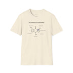 Chemistry Of Enlightenment T-shirt