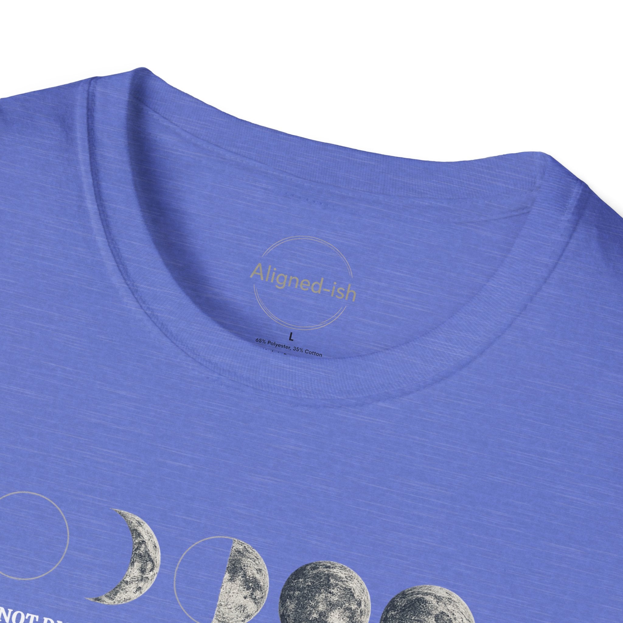 Do Not Disturb. Too Much Data. T-shirt